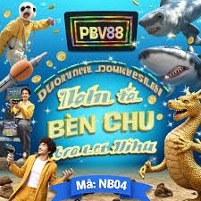 pk214 Hamara Live Casino - Studio se Aapke Screen Tak